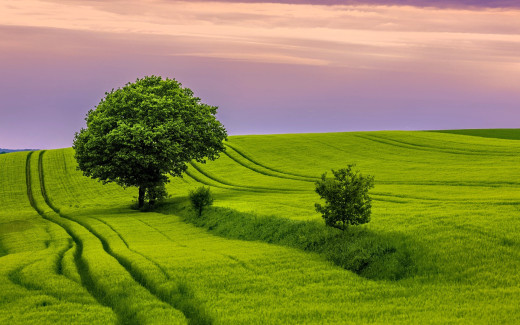 1750090 (a): :1920x1200